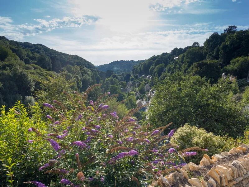 Cotswolds
